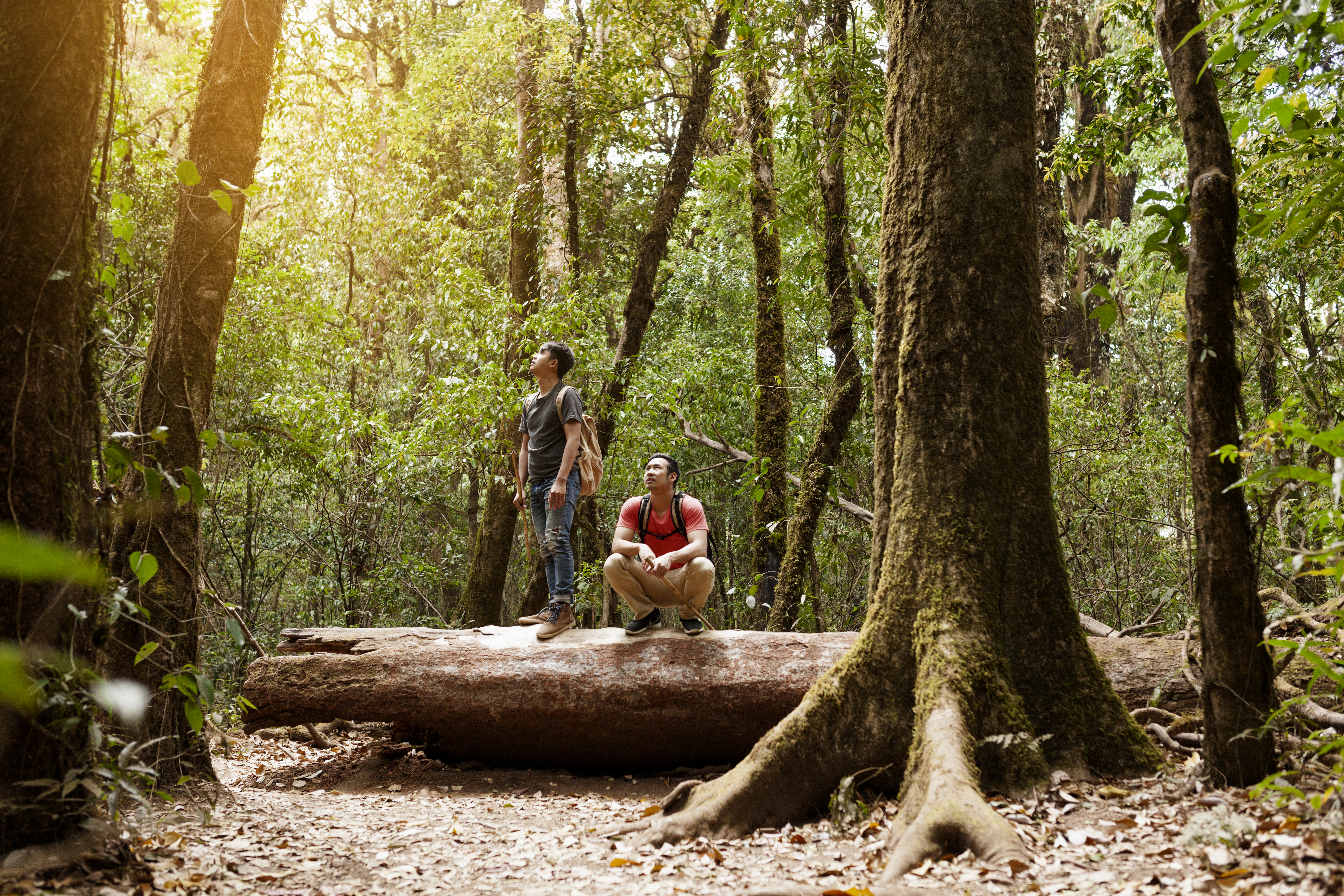 Ecoturismo
