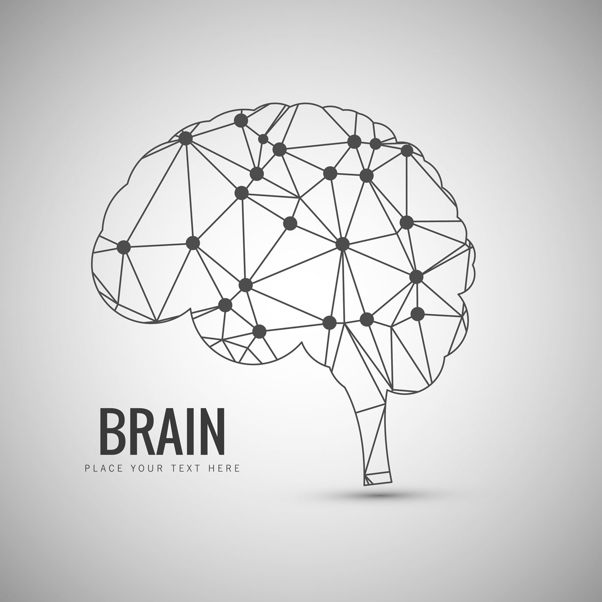 Neuroeducação