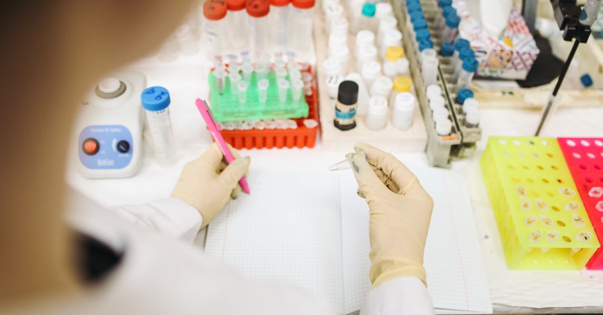 Bioprocessos